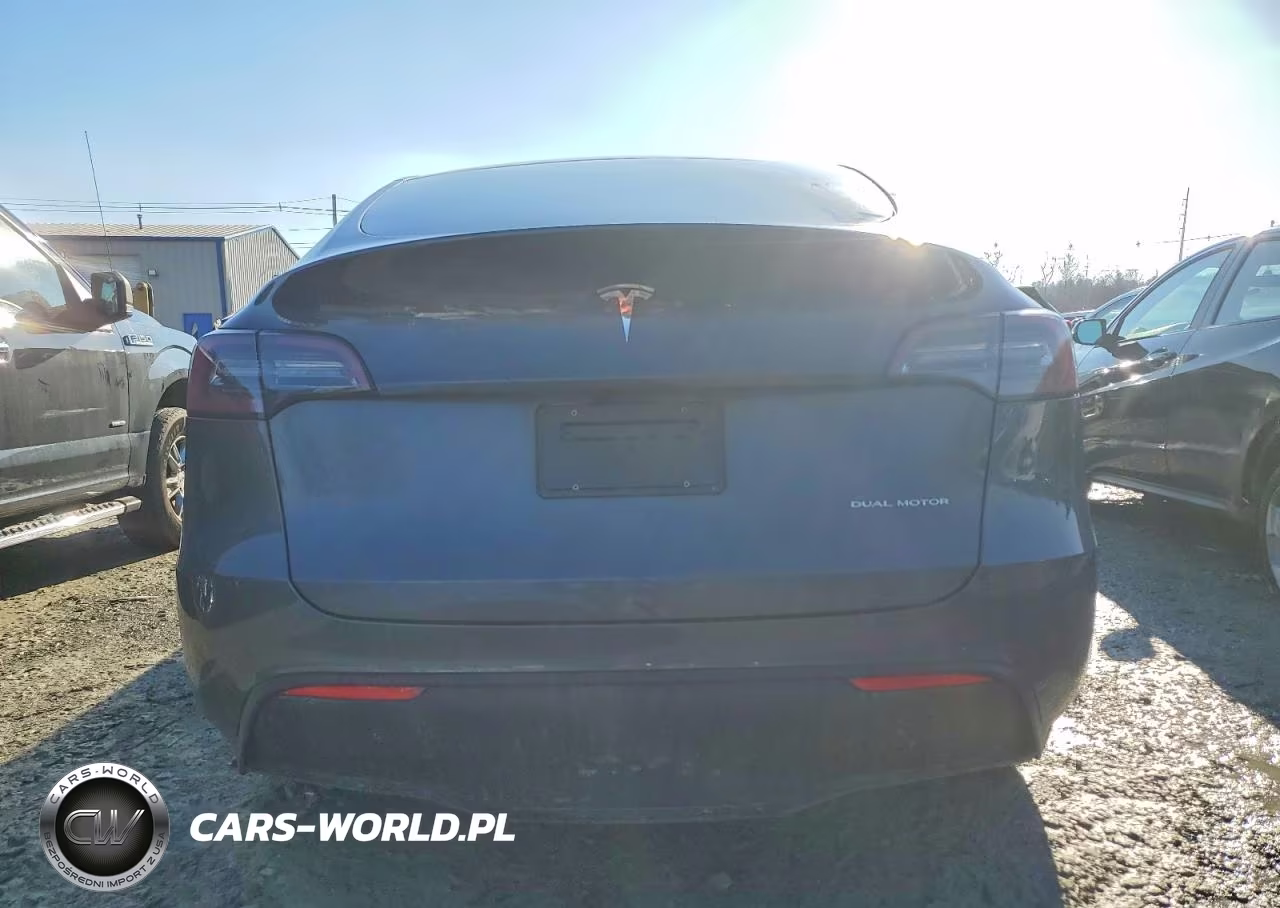 2023 Tesla Model Y VIN:7SAYGDEE8PF860303 - 6