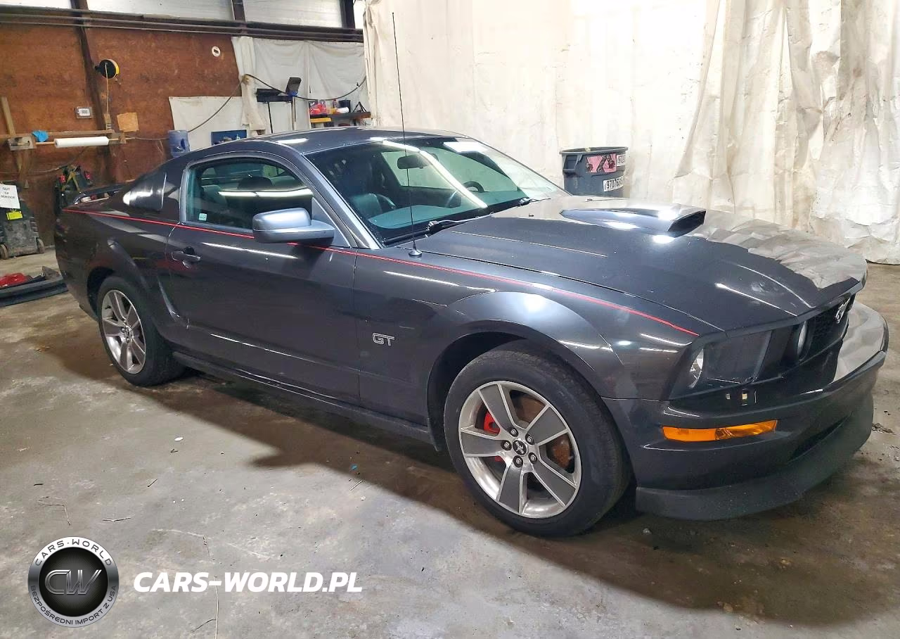 2008 Ford Mustang Gt VIN:1ZVHT82H885189519 - 4