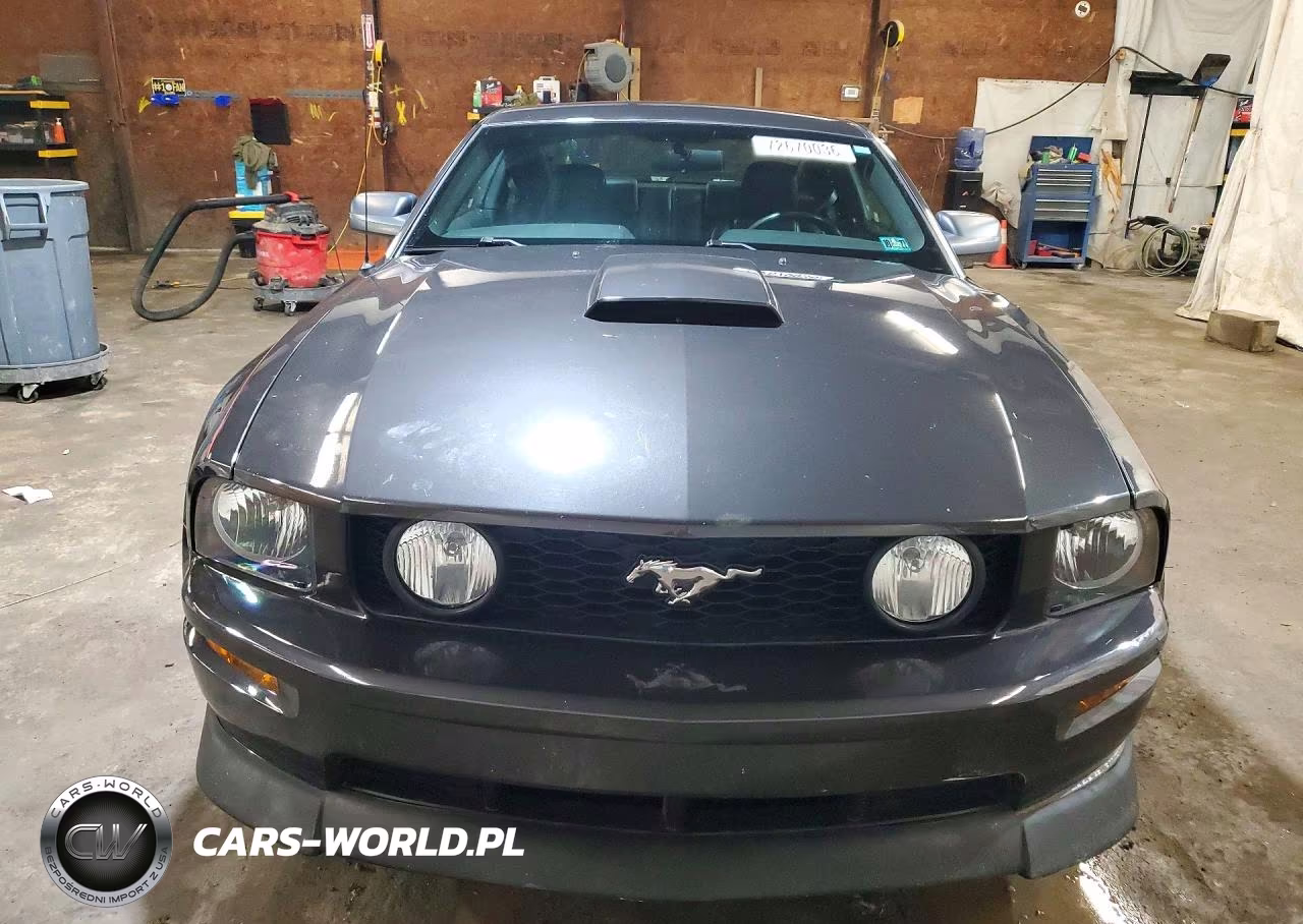 2008 Ford Mustang Gt VIN:1ZVHT82H885189519 - 5