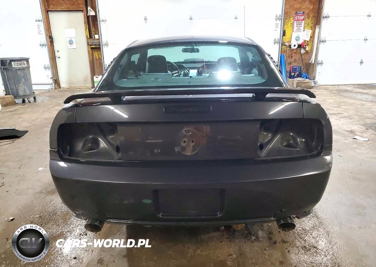 2008 Ford Mustang Gt VIN:1ZVHT82H885189519 - 6