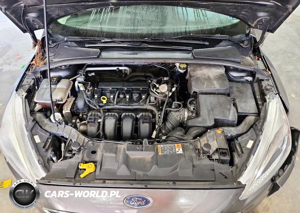2016 Ford Focus Se VIN:1FADP3F21GL402809 - 11