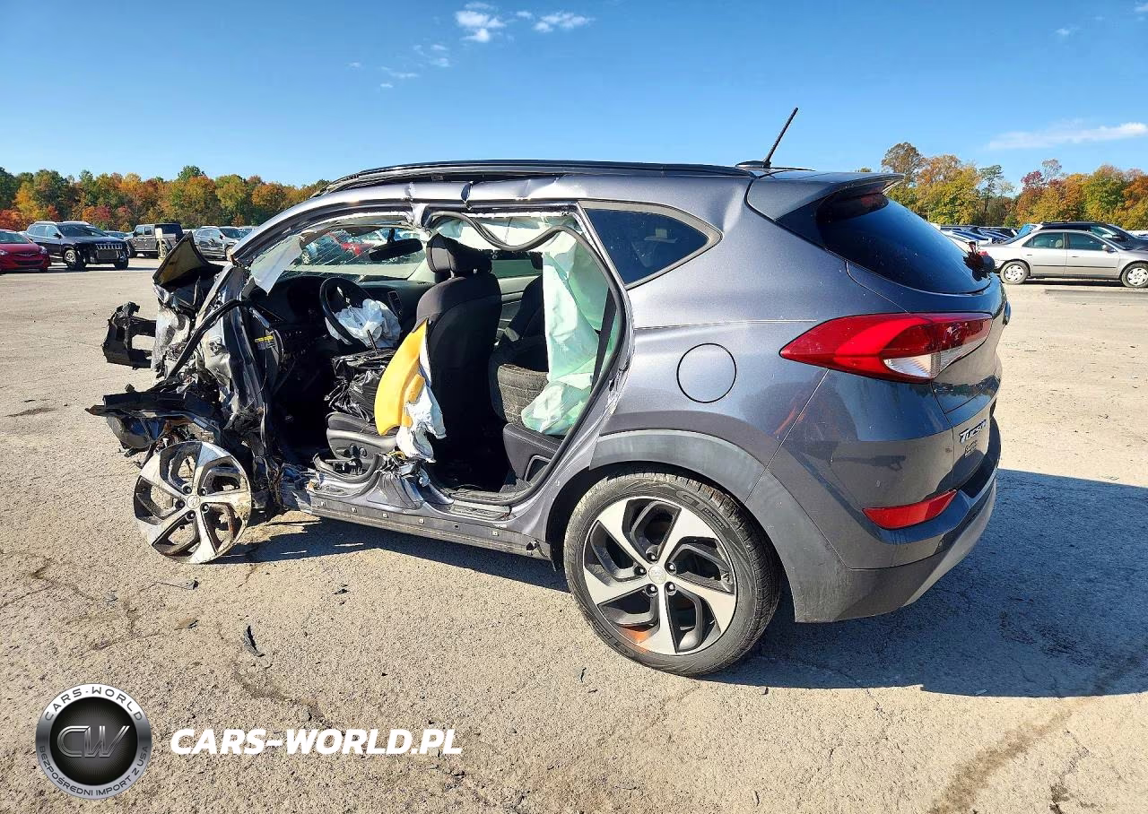 2017 Hyundai Tucson Value VIN:KM8J3CA29HU576585 - 2