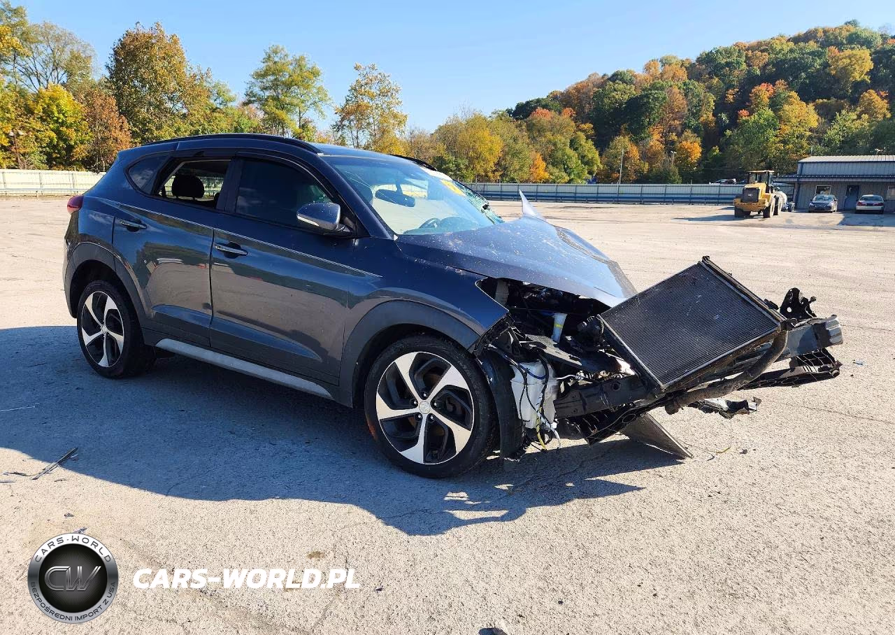 2017 Hyundai Tucson Value VIN:KM8J3CA29HU576585 - 4