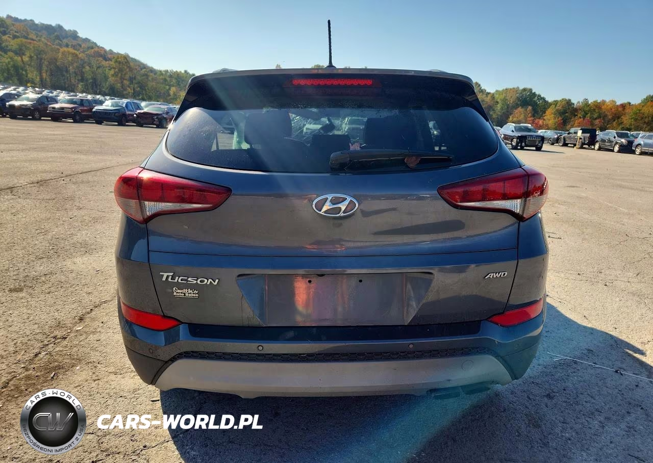 2017 Hyundai Tucson Value VIN:KM8J3CA29HU576585 - 6