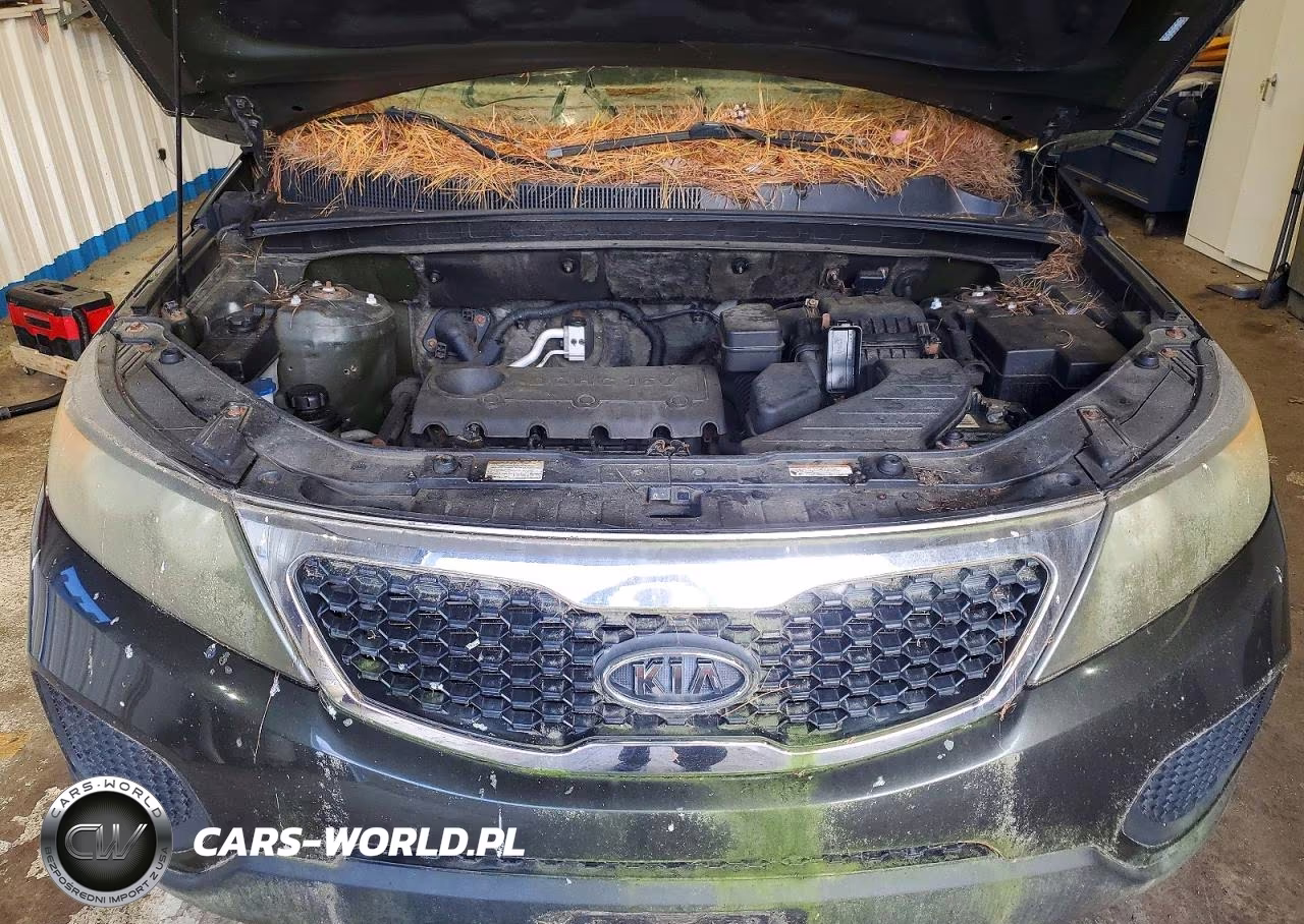 2011 Kia Sorento Lx VIN:5XYKTCA14BG112905 - 12