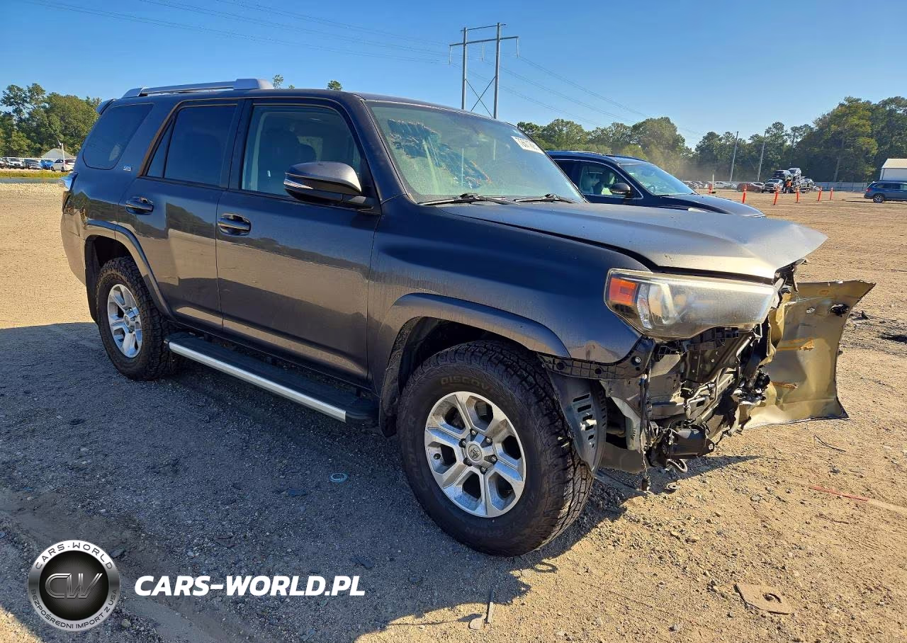 2017 Toyota 4Runner Sr5 Premium VIN:JTEZU5JR2H5154516 - 4