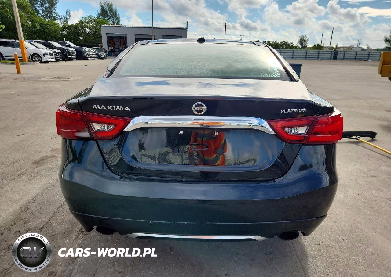 2017 Nissan Maxima 3.5 Platinum VIN:1N4AA6AP4HC366172 - 6