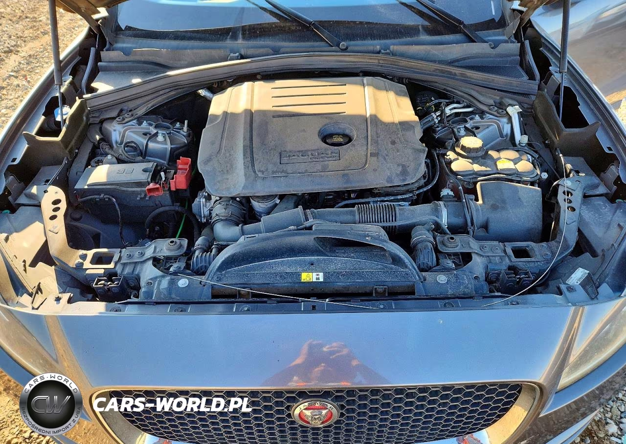 2018 Jaguar F-Pace Premium VIN:SADCJ2FN2JA256620 - 12