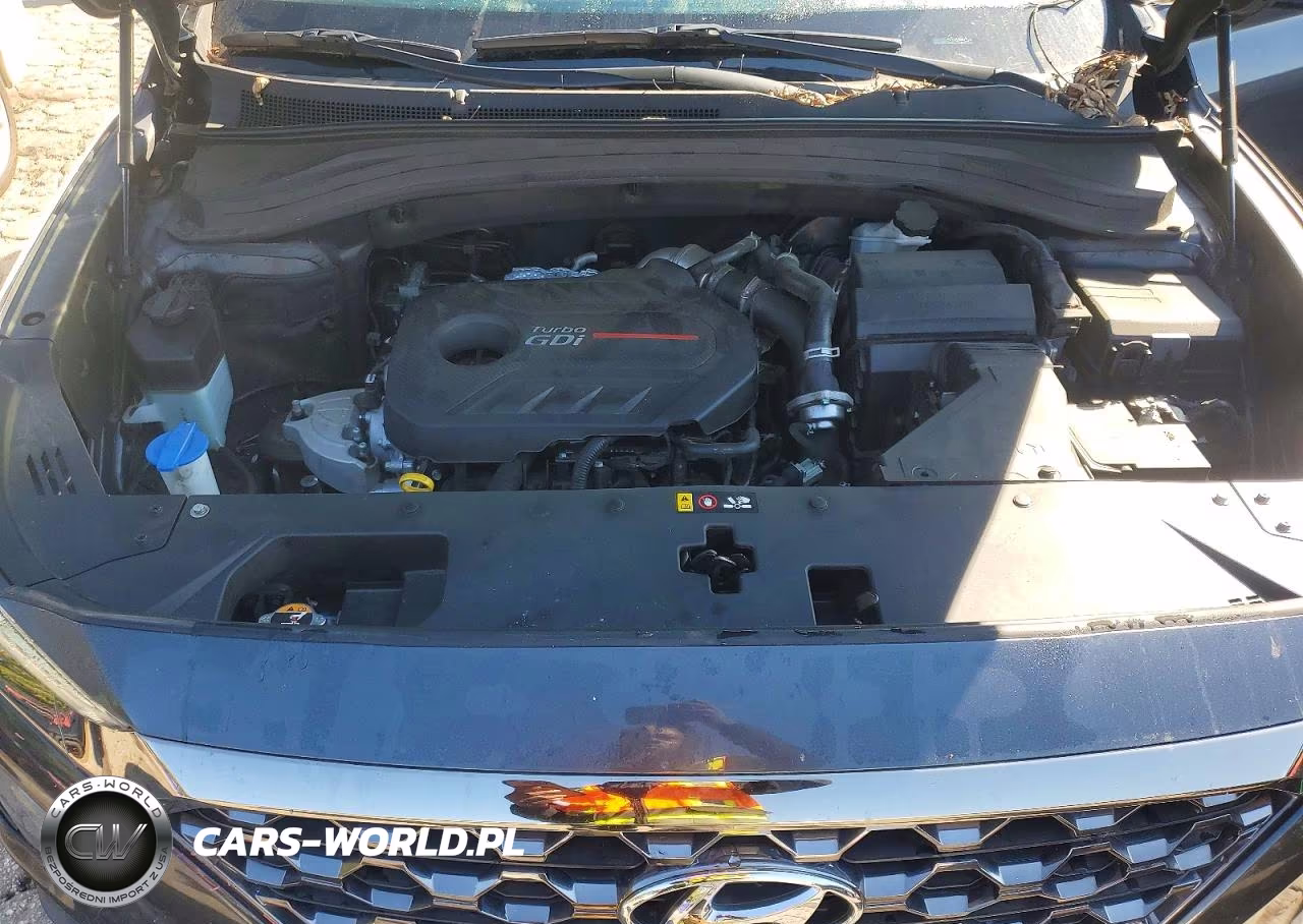 2020 Hyundai Santa Fe Limited 2.0T VIN:5NMS53AA5LH287245 - 11