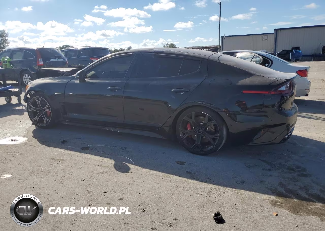 2019 Kia Stinger Gt VIN:KNAE35LC8K6060184 - 2