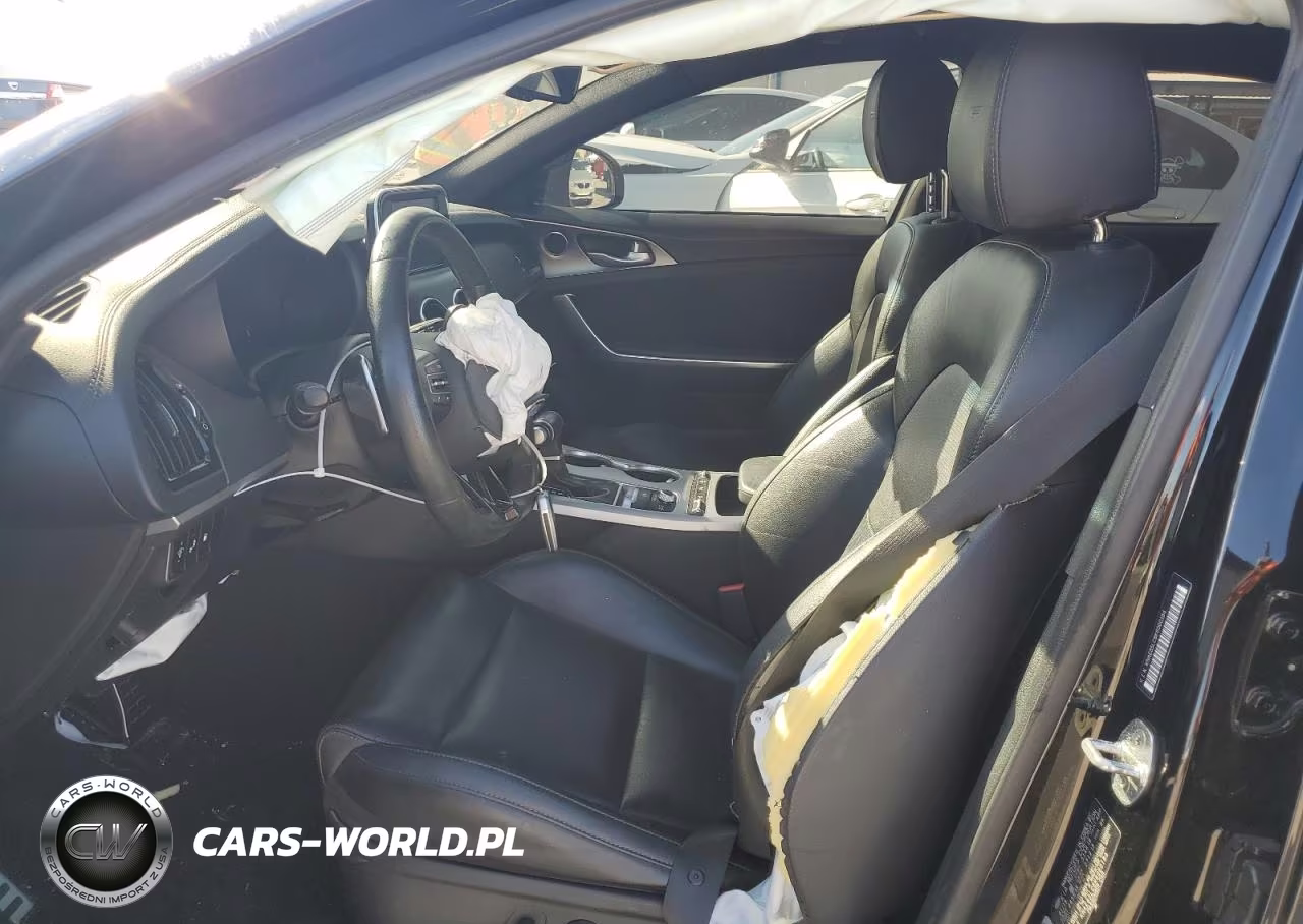 2019 Kia Stinger Gt VIN:KNAE35LC8K6060184 - 7