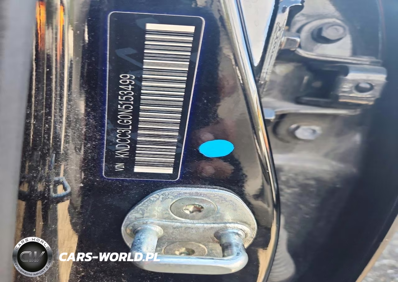 2022 Kia Niro Ev Ex VIN:KNDCC3LG0N5153499 - 13