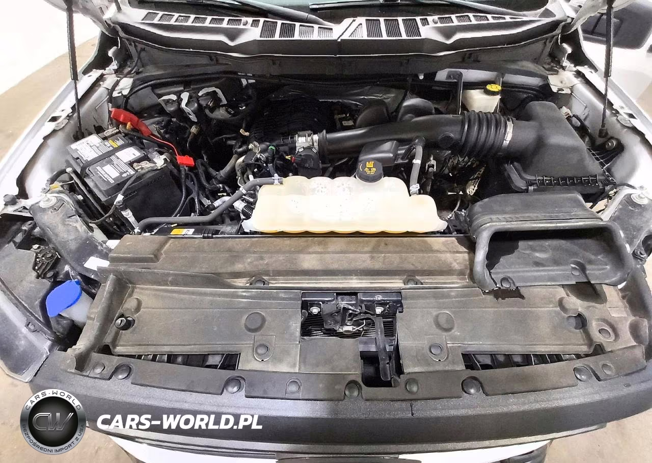 2023 Ford F150 VIN:1FTMF1CB3PKE33104 - 11