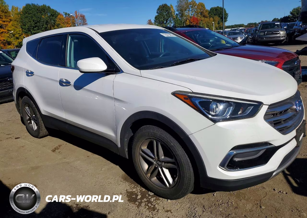 2017 Hyundai Santa Fe Sport 2.4L VIN:5XYZTDLB1HG397517 - 4