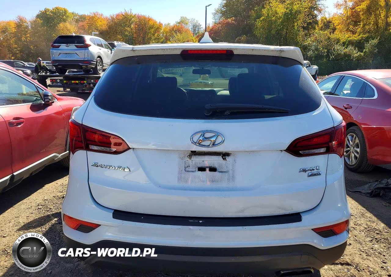 2017 Hyundai Santa Fe Sport 2.4L VIN:5XYZTDLB1HG397517 - 6