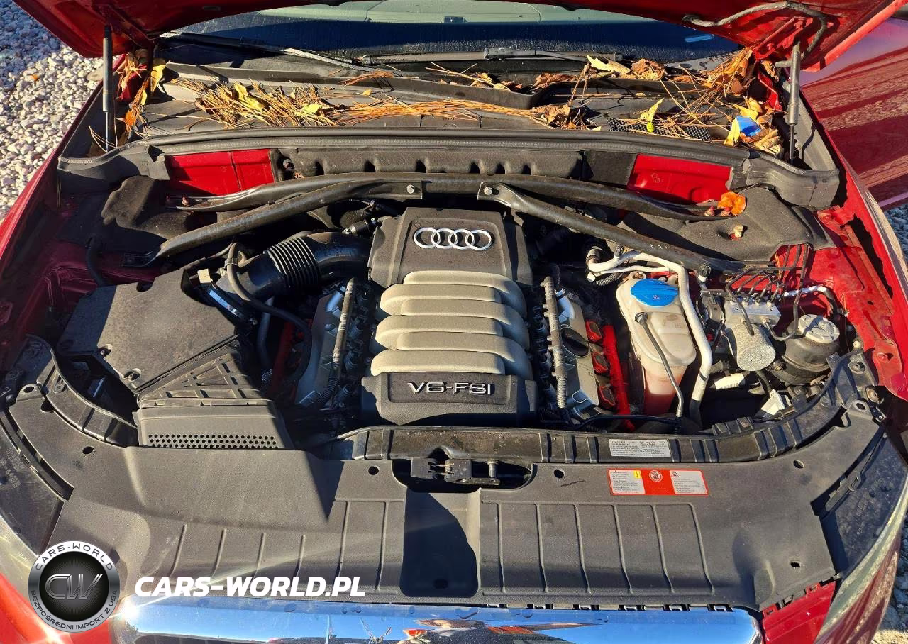 2009 Audi Q5 3.2 VIN:WA1KK78R59A043653 - 12