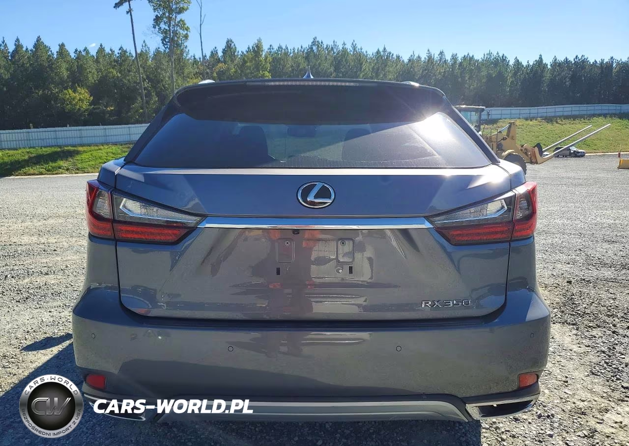 2021 Lexus Rx 350 VIN:2T2HZMAAXMC184149 - 6