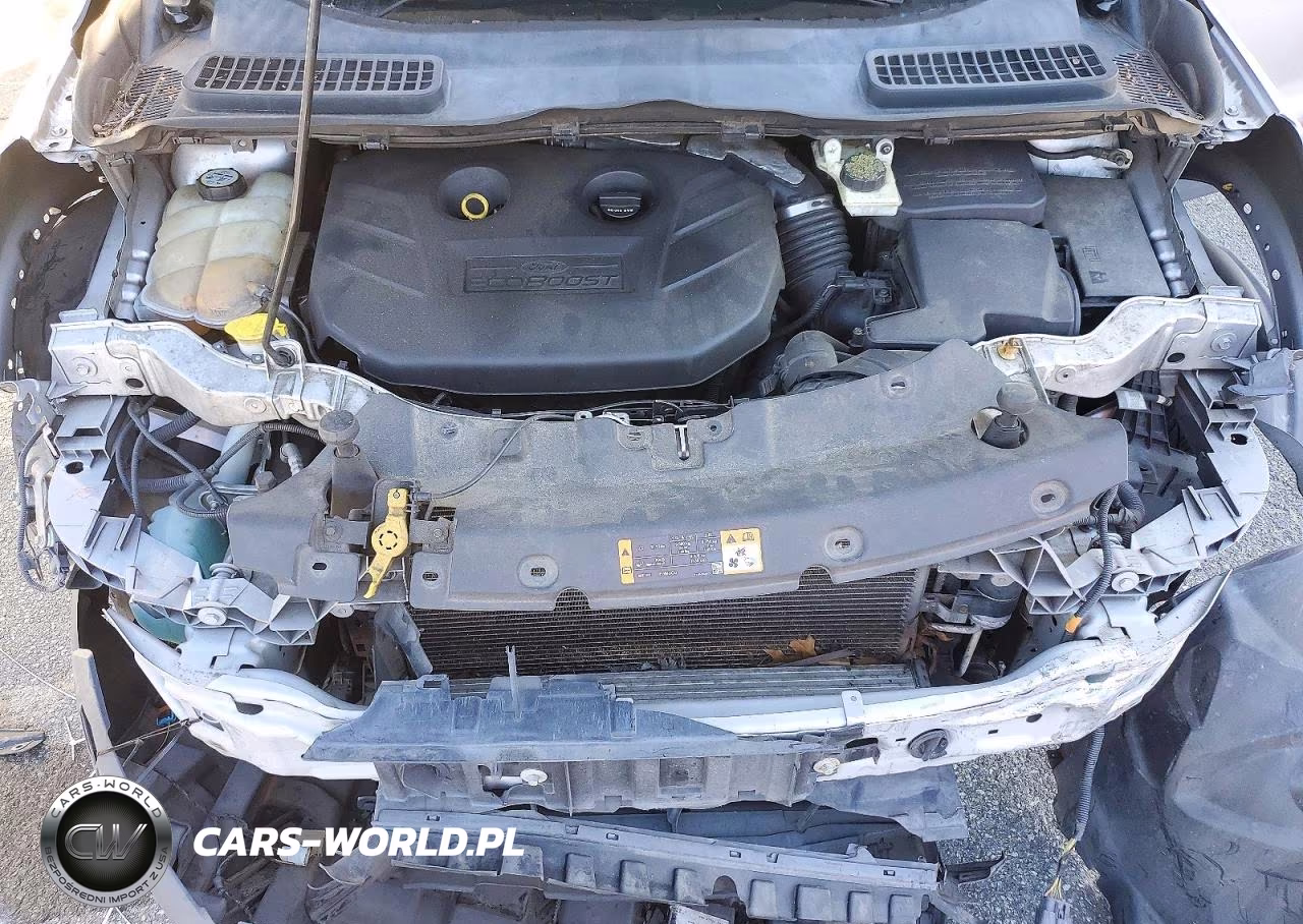 2013 Ford Escape Se VIN:1FMCU0G97DUC26603 - 12