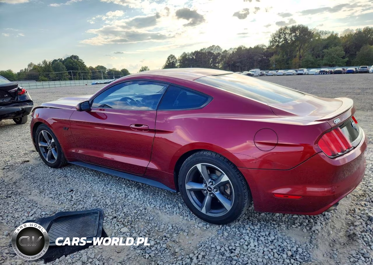 2015 Ford Mustang VIN:1FA6P8AM1F5362555 - 2
