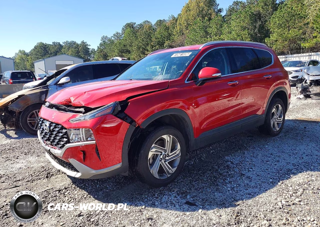2023 Hyundai Santa Fe Sel VIN:5NMS2DAJ9PH524100 - 1