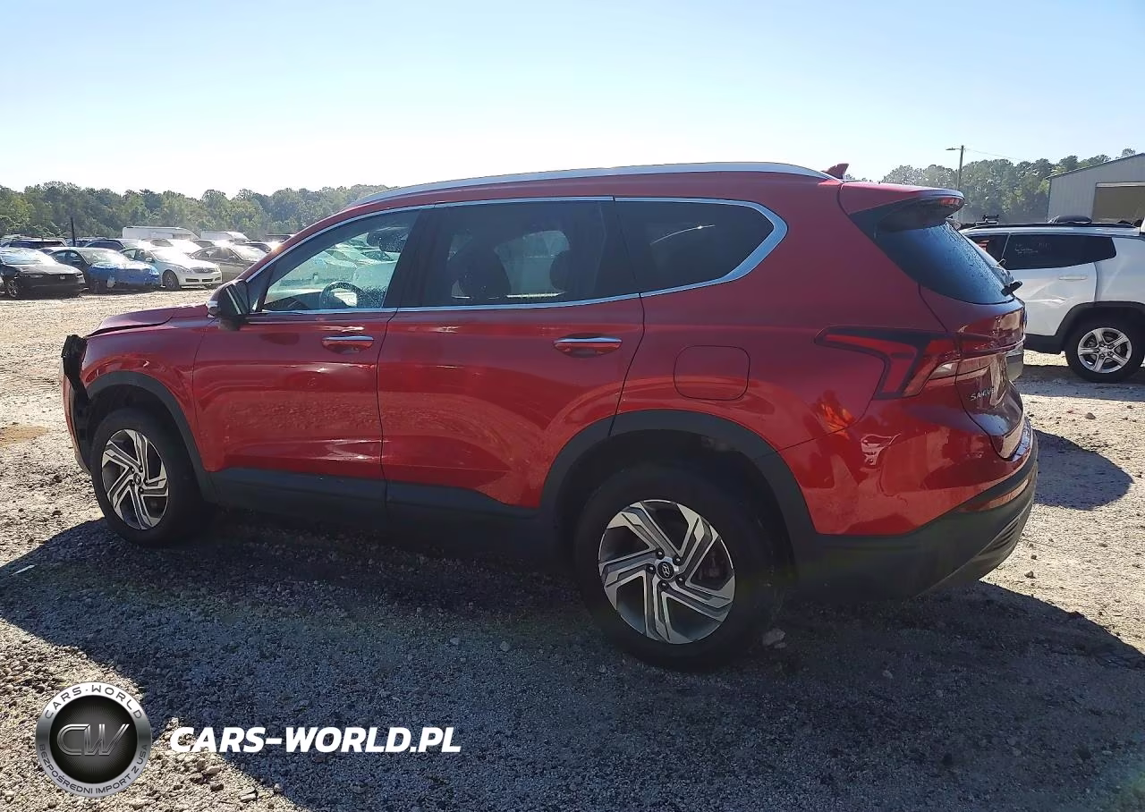 2023 Hyundai Santa Fe Sel VIN:5NMS2DAJ9PH524100 - 2