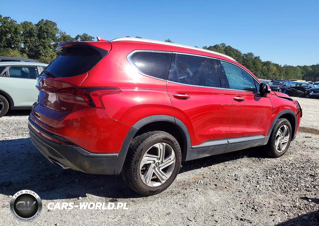 2023 Hyundai Santa Fe Sel VIN:5NMS2DAJ9PH524100 - 3