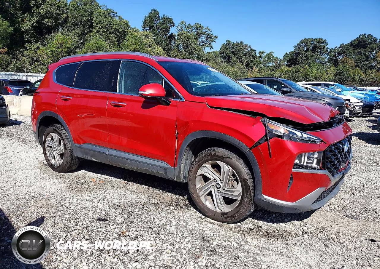 2023 Hyundai Santa Fe Sel VIN:5NMS2DAJ9PH524100 - 4