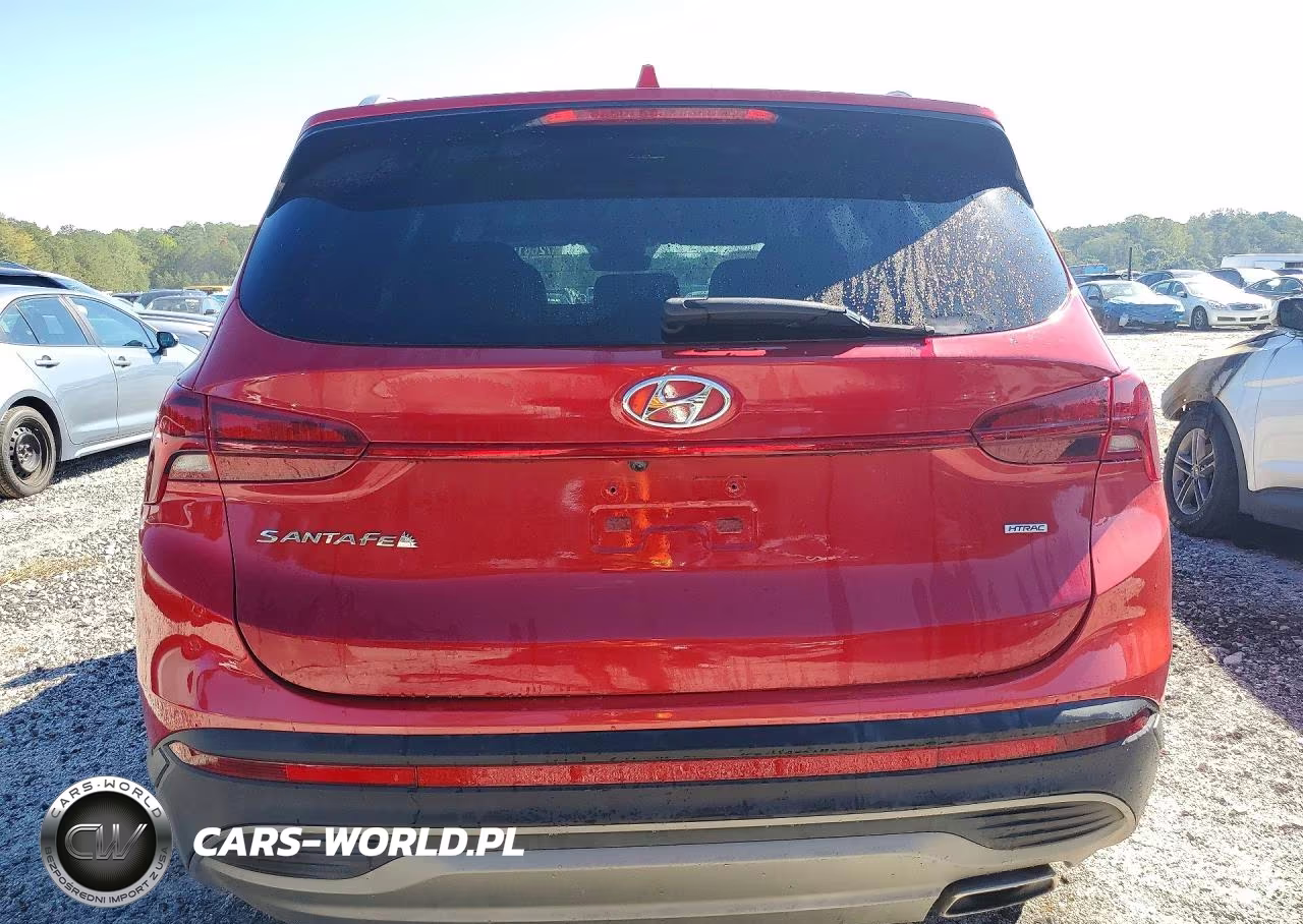 2023 Hyundai Santa Fe Sel VIN:5NMS2DAJ9PH524100 - 6