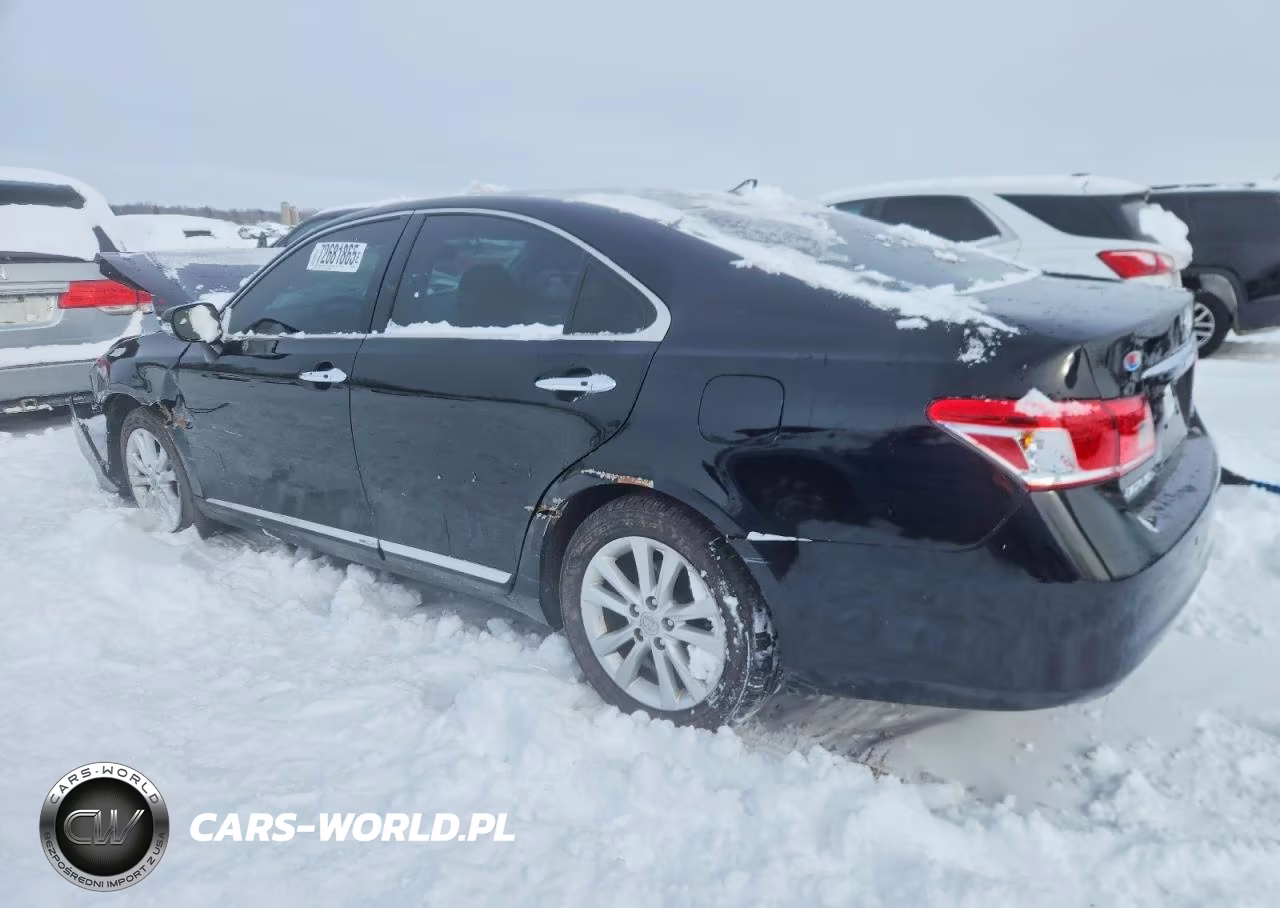 2010 Lexus Es 350 VIN:JTHBK1EG1A2392926 - 2