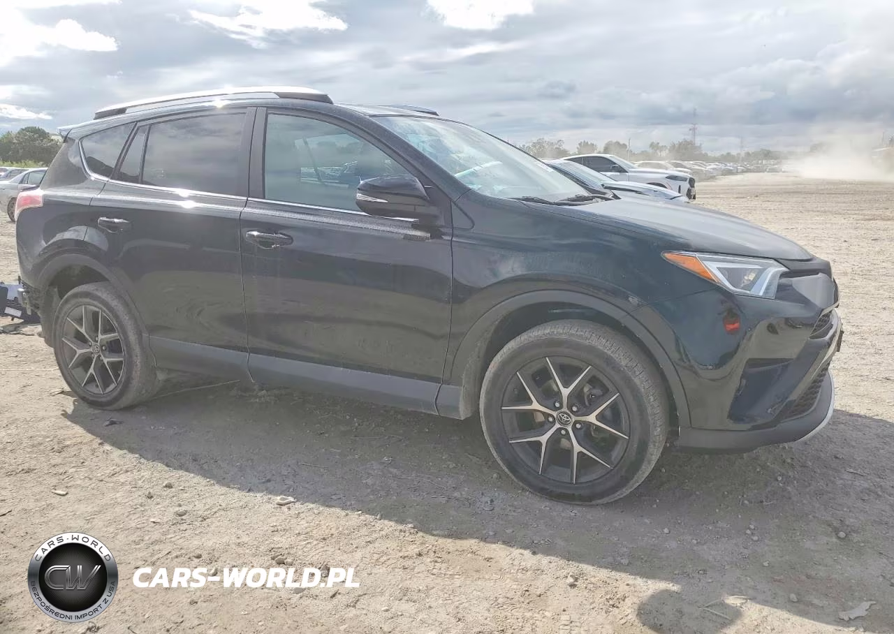 2016 Toyota Rav4 Se VIN:2T3JFREV0GW449261 - 4