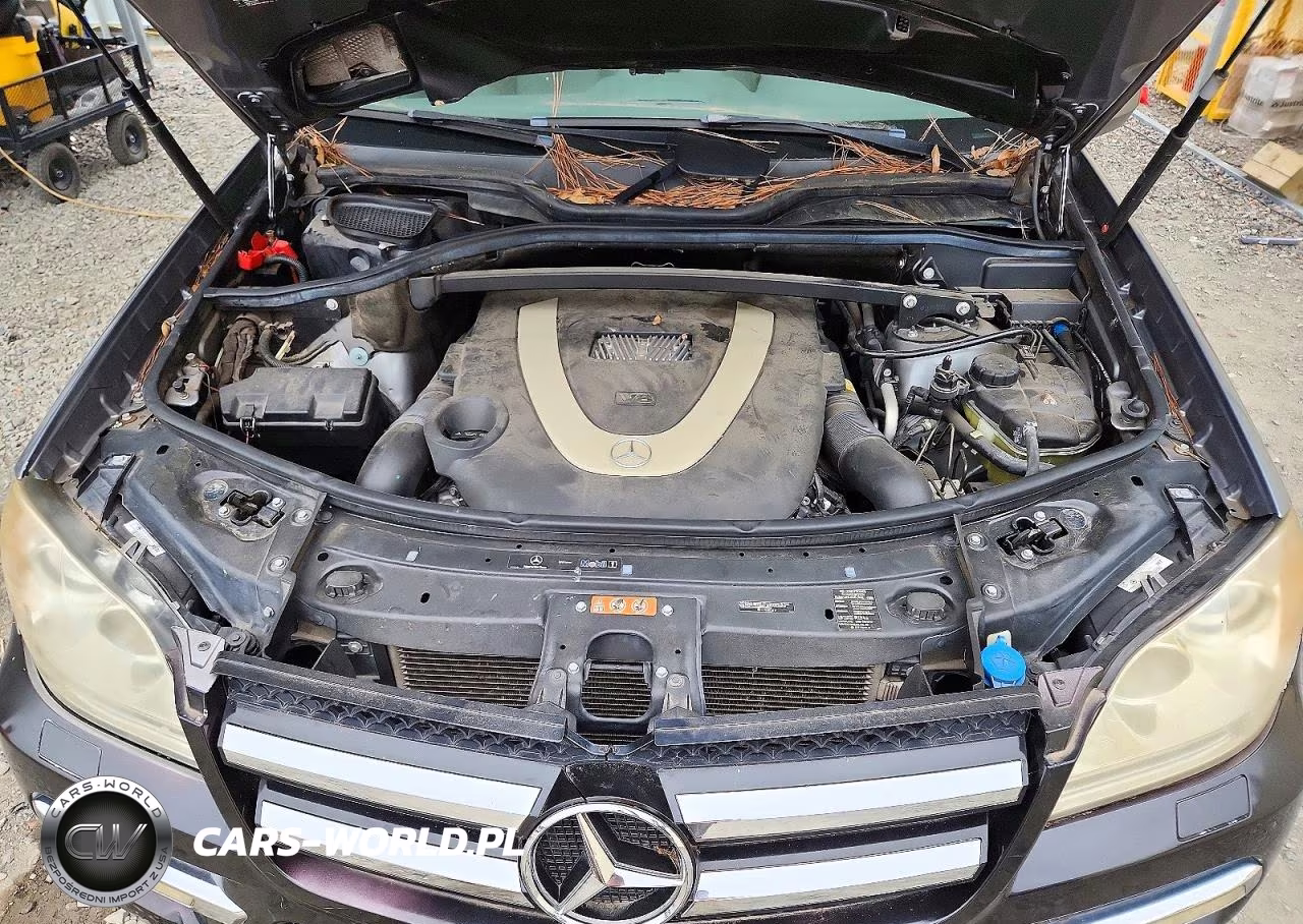 2010 Mercedes-Benz Gl 450 4Matic VIN:4JGBF7BE1AA612420 - 12