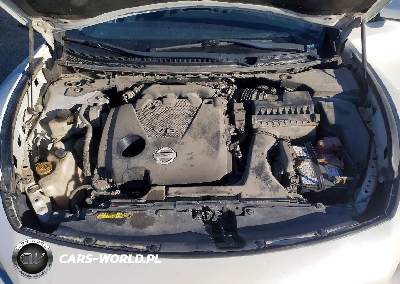 2014 Nissan Maxima VIN:1N4AA5AP0EC481941 - 11