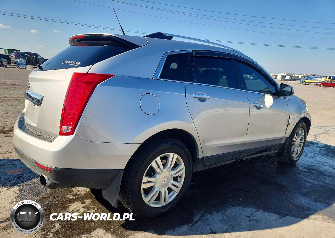 2010 Cadillac Srx Luxury Collection VIN:3GYFNDEY8AS603266 - 3