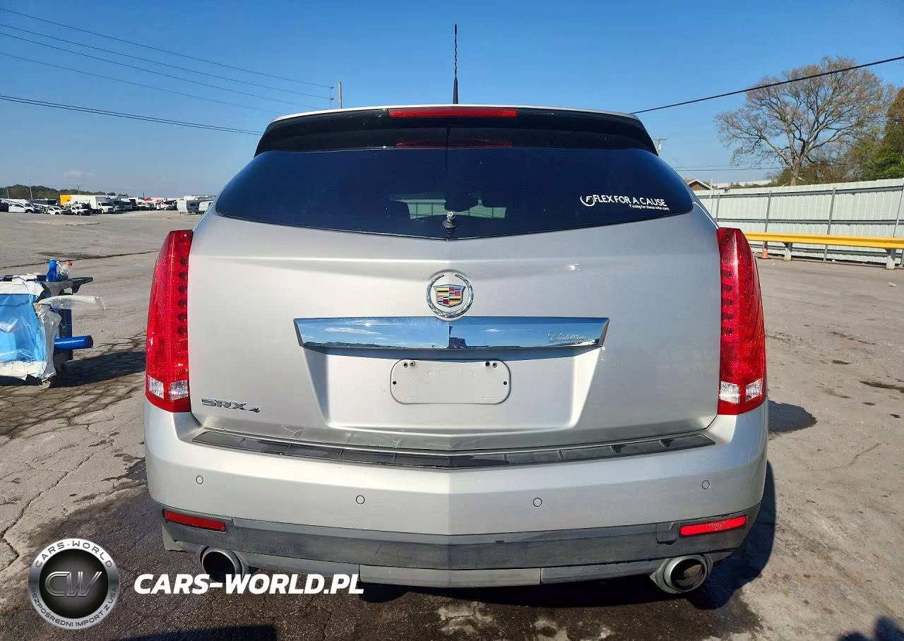 2010 Cadillac Srx Luxury Collection VIN:3GYFNDEY8AS603266 - 6