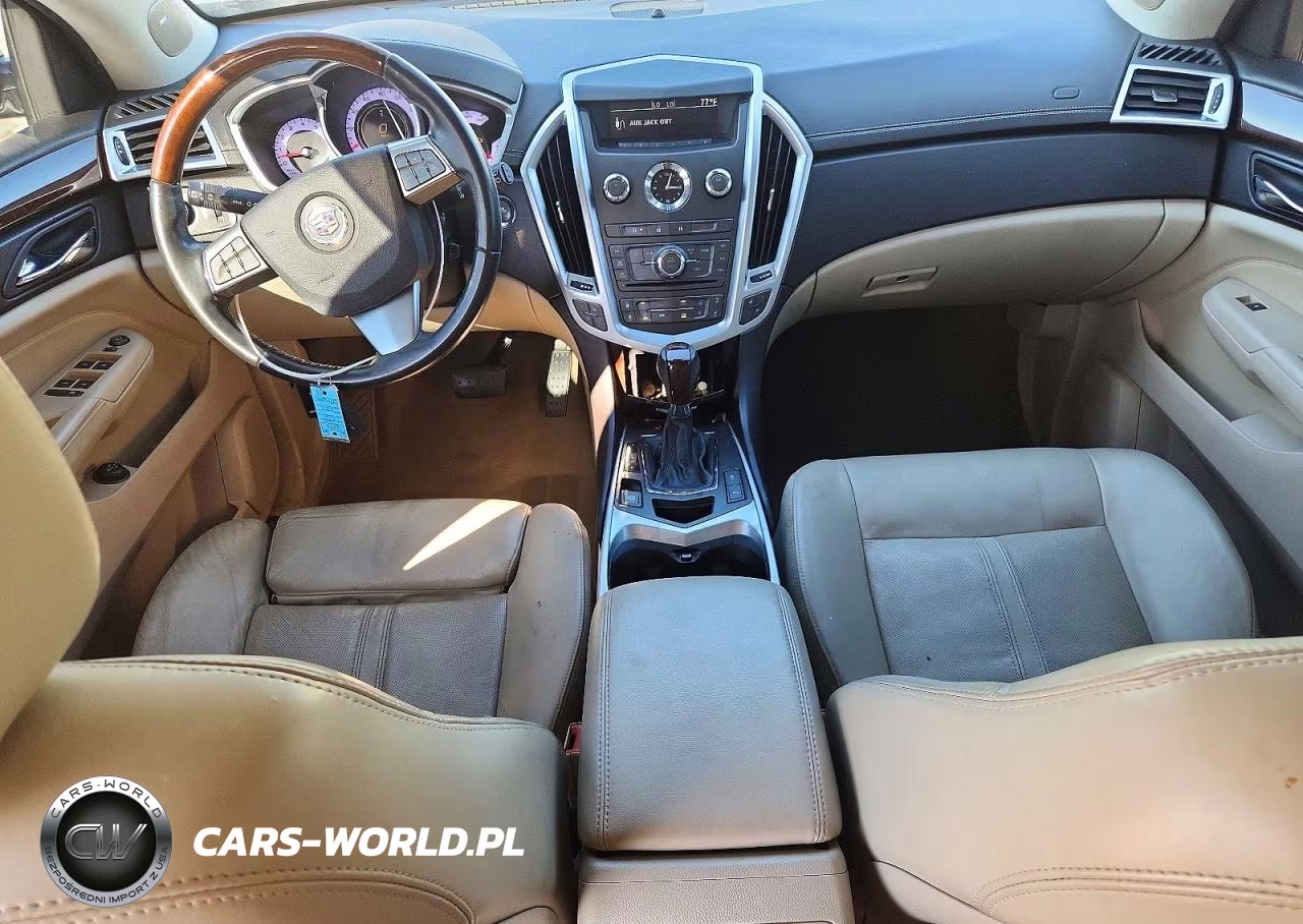2010 Cadillac Srx Luxury Collection VIN:3GYFNDEY8AS603266 - 8