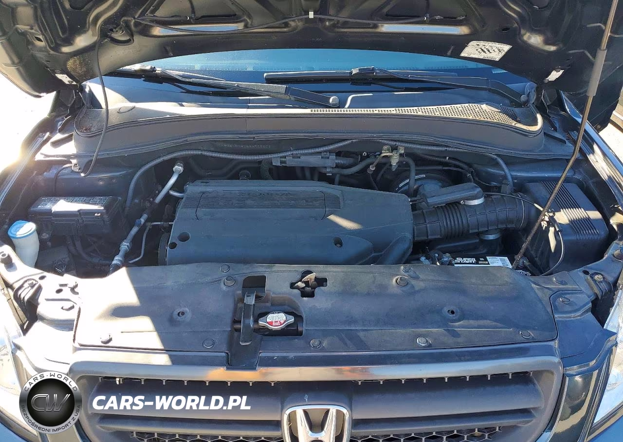 2004 Honda Pilot Exl VIN:2HKYF18754H568858 - 12
