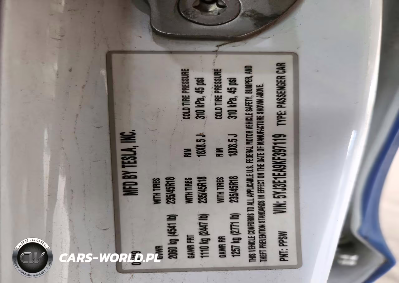 2019 Tesla Model 3 VIN:5YJ3E1EA9KF397119 - 12