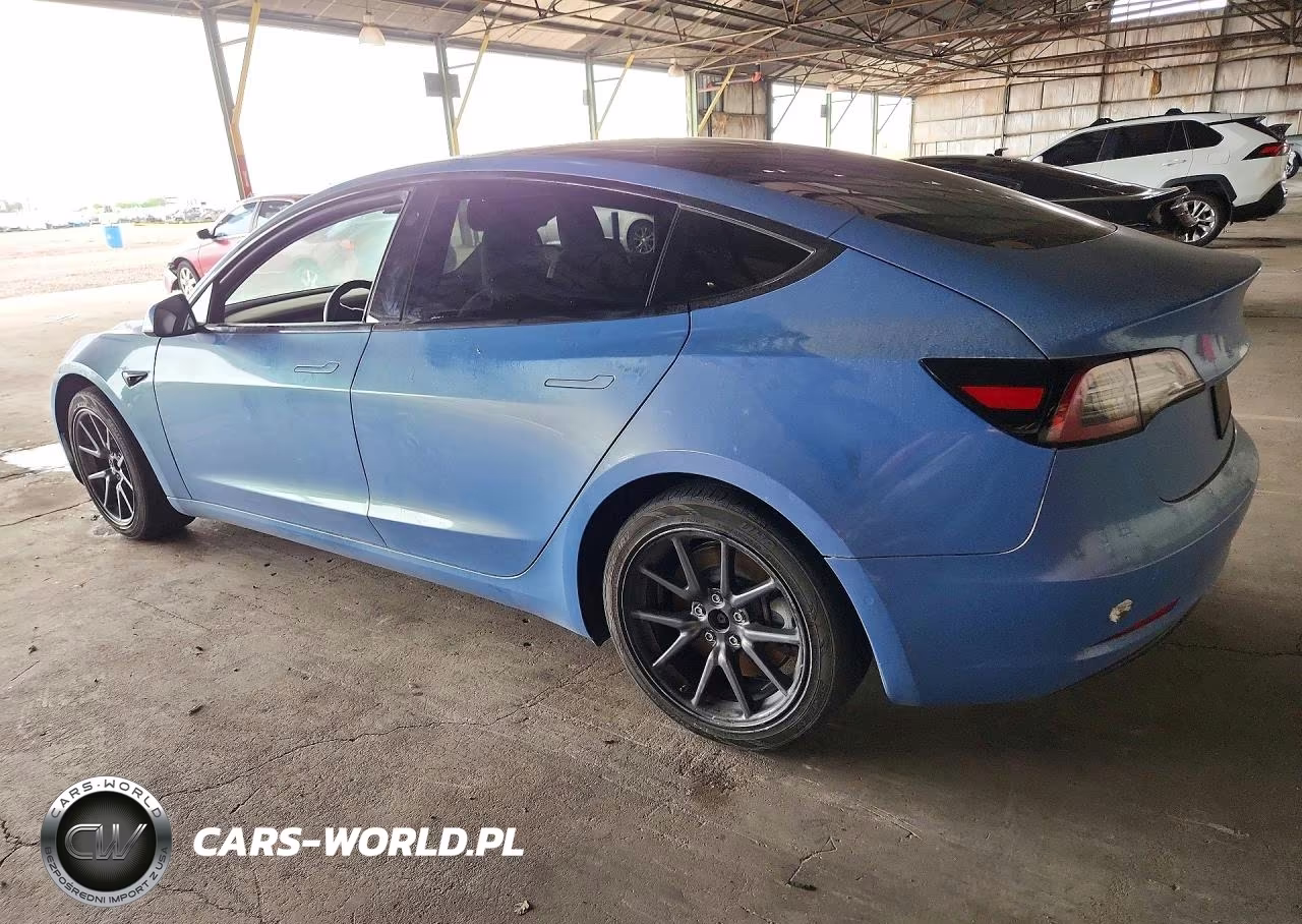 2019 Tesla Model 3 VIN:5YJ3E1EA9KF397119 - 2