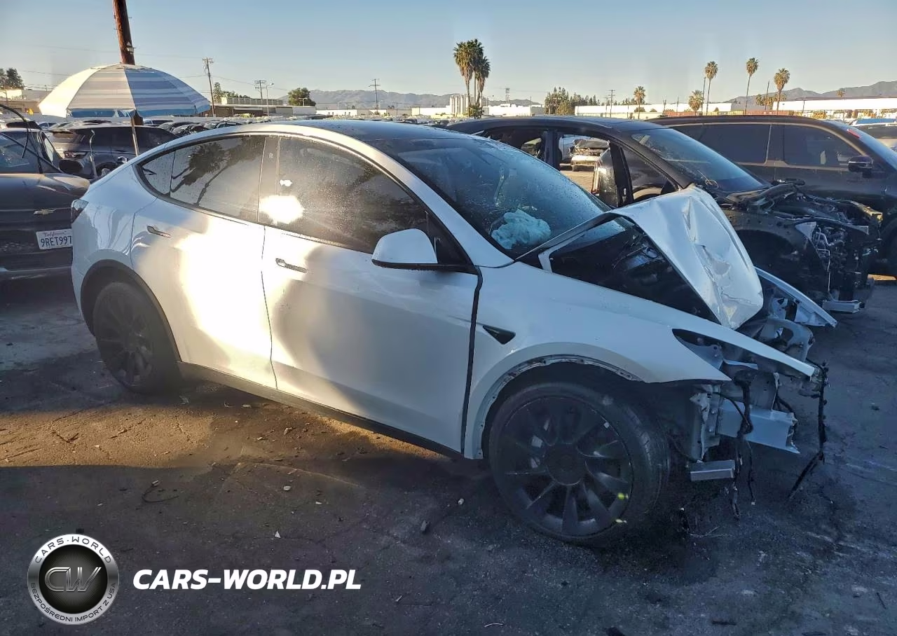 2020 Tesla Model Y VIN:5YJYGDEE5LF012872 - 10