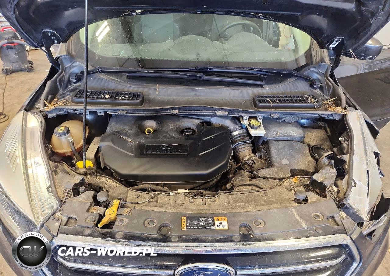 2017 Ford Escape Se VIN:1FMCU9G92HUB67681 - 11