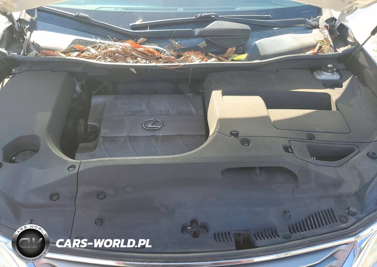 2013 Lexus Rx 350 Base VIN:2T2BK1BA3DC217421 - 12