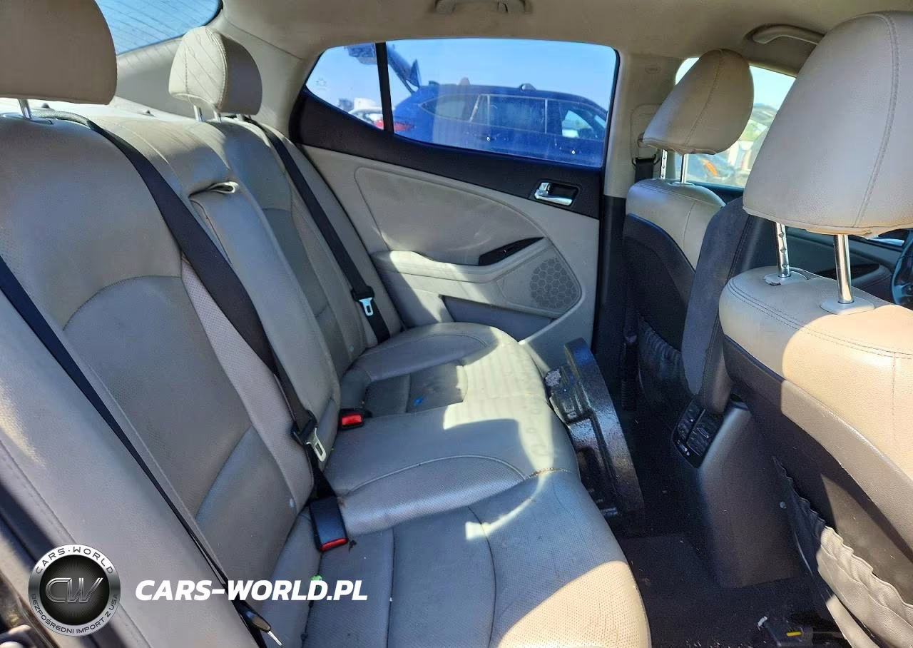 2015 Kia Optima Ex VIN:5XXGN4A71FG403575 - 10