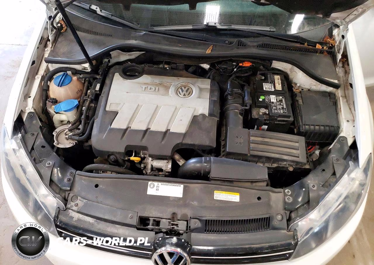 2014 Volkswagen Jetta Tdi VIN:3VWPL7AJ4EM627971 - 11