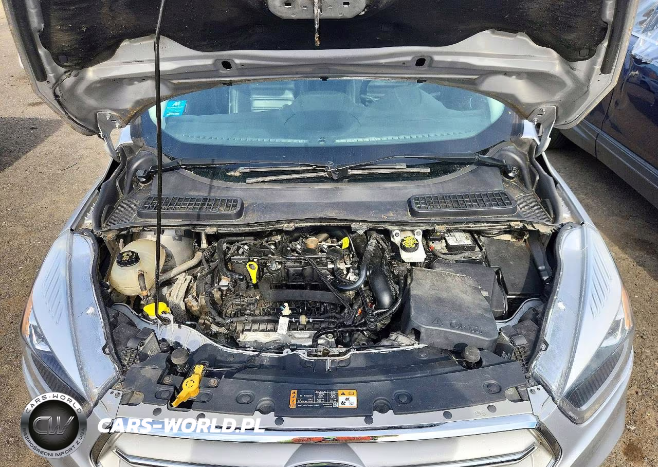 2019 Ford Escape Sel VIN:1FMCU9HD9KUA66096 - 12