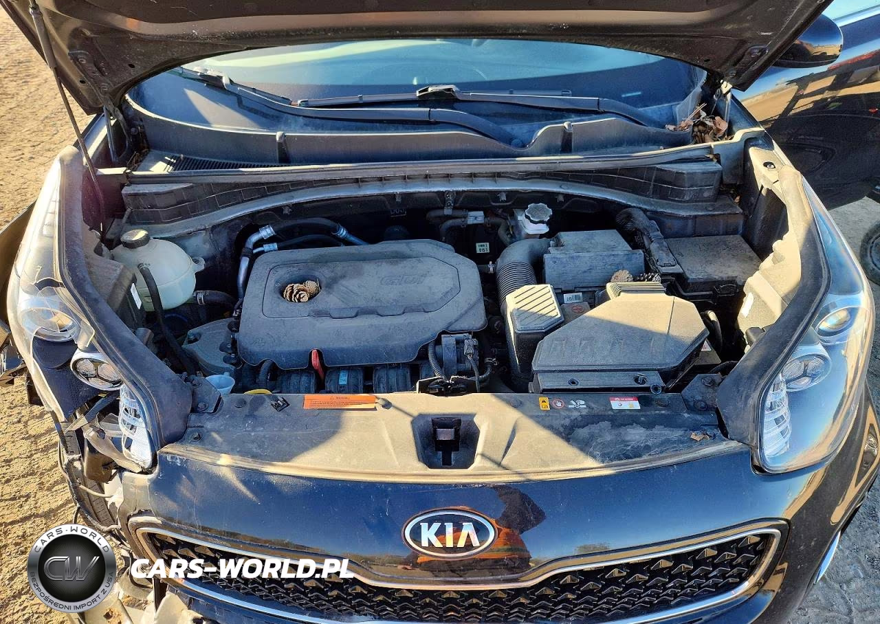2019 Kia Sportage Lx VIN:KNDPMCAC0K7583497 - 12
