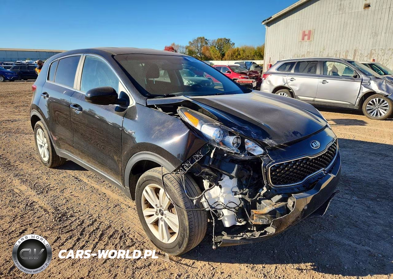 2019 Kia Sportage Lx VIN:KNDPMCAC0K7583497 - 4