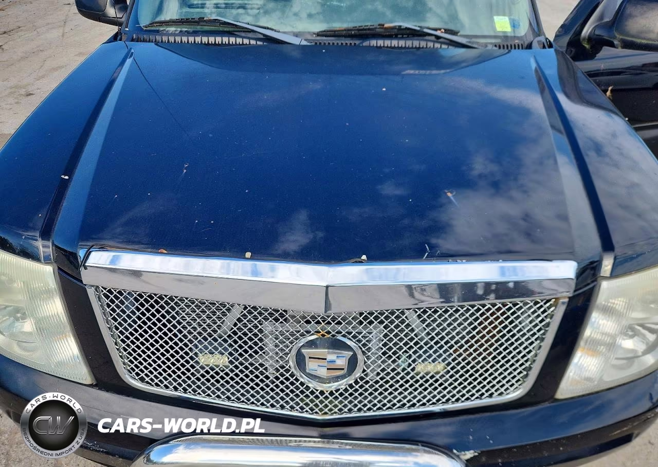 2003 Cadillac Escalade Ext VIN:3GYEK63NX3G291739 - 11