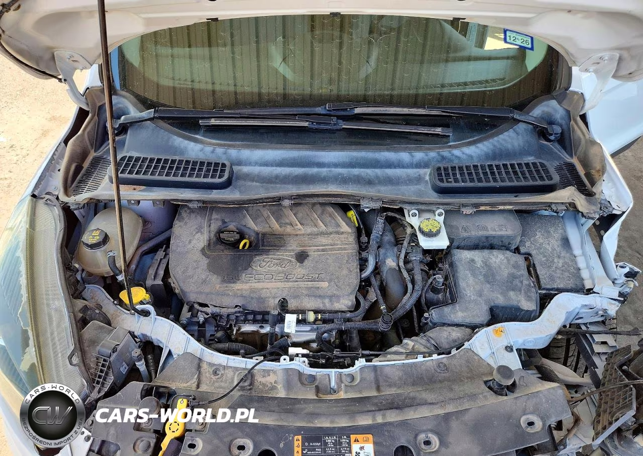 2017 Ford Escape Se VIN:1FMCU0GD4HUC12782 - 12