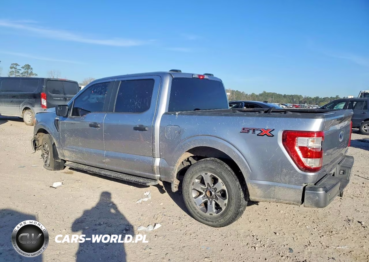 2021 Ford F150 Supercrew VIN:1FTEW1CP7MFB53318 - 2