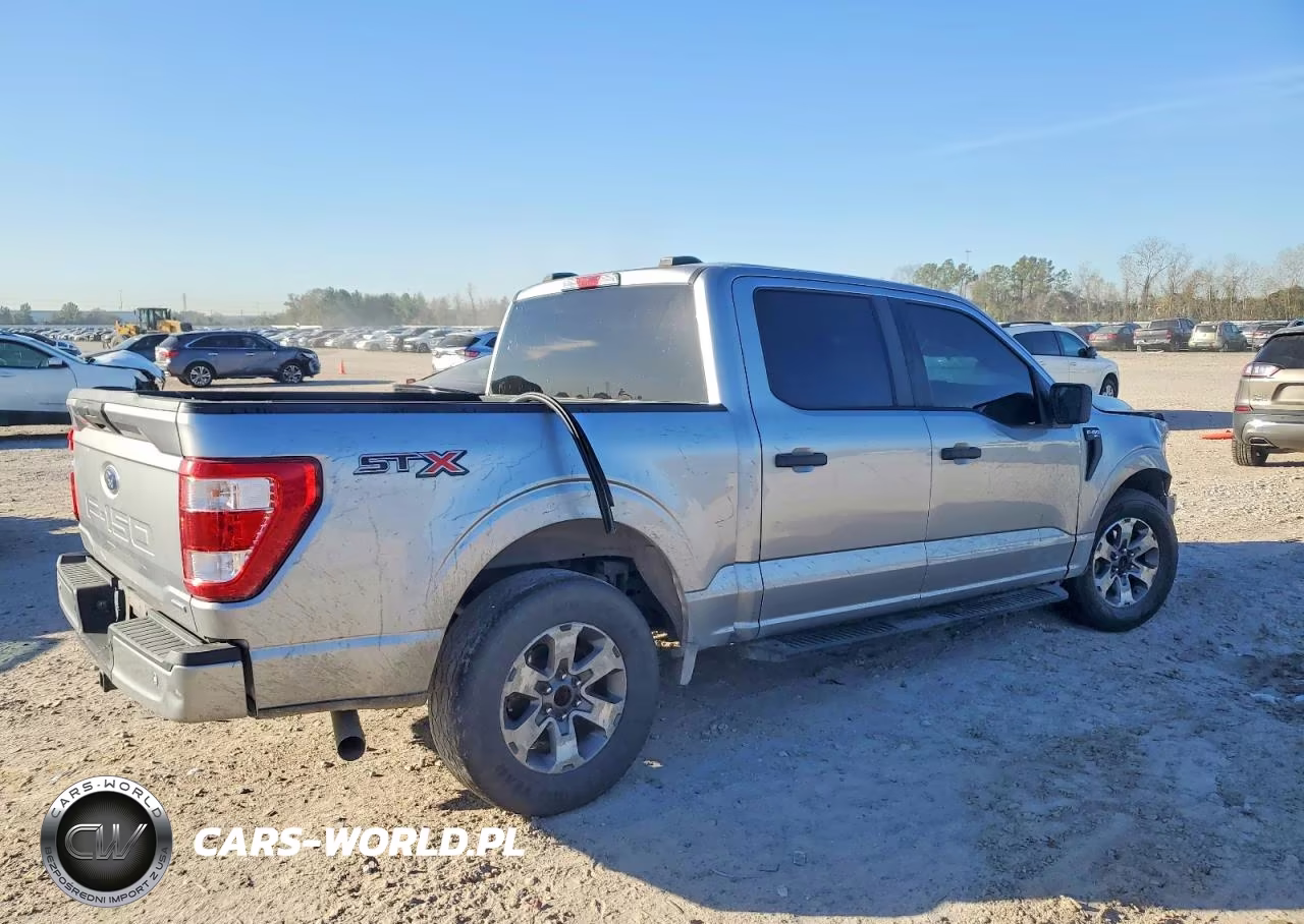 2021 Ford F150 Supercrew VIN:1FTEW1CP7MFB53318 - 3